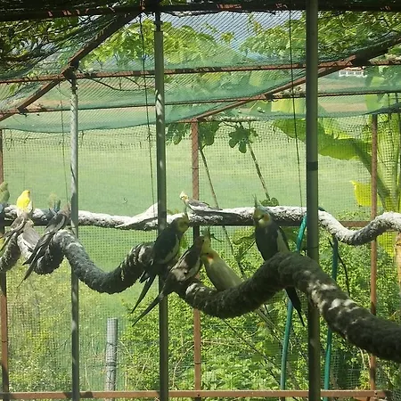 Bosco Del Gal Farma